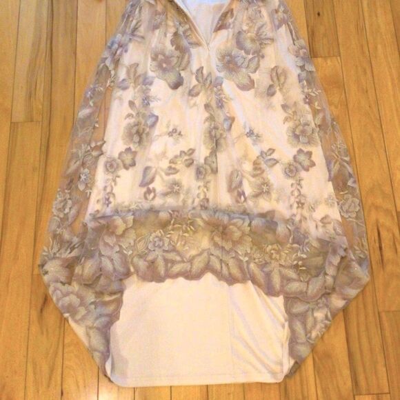 ADRIANNA PAPELL ROSE QUART LONG ILLUSION MESH DRESS 8 NWT - Picture 8 of 16